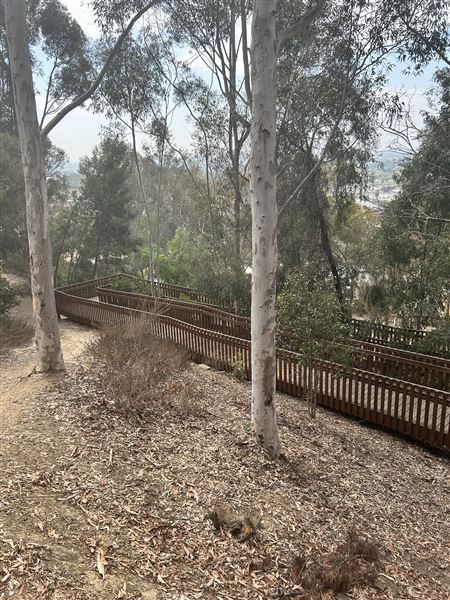 Culver City Park Bill Botts Field - Path up to baseball fields. (10/4/2024 - Credits: Brandy Davis)