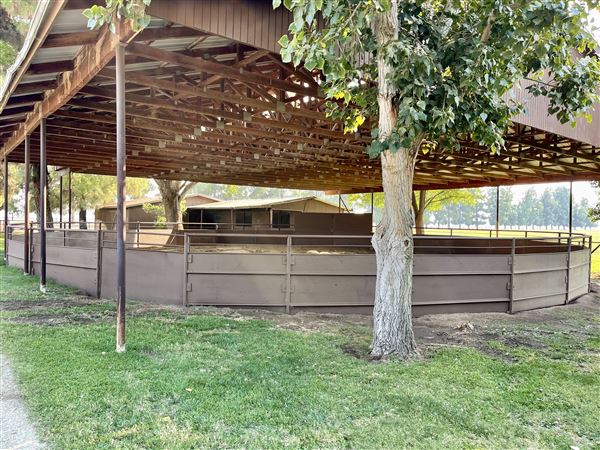 Stockdale Ranch (10/11/2024 - Credits: Stockdale Ranch)