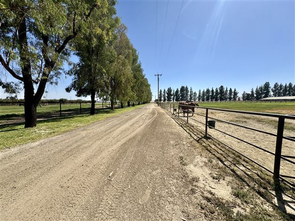 Stockdale Ranch (10/11/2024 - Credits: Stockdale Ranch)