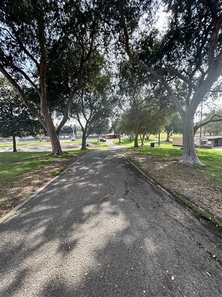Edward Vincent Park - Paths and grass area (10/17/2024 - Credits: Brandy Davis)