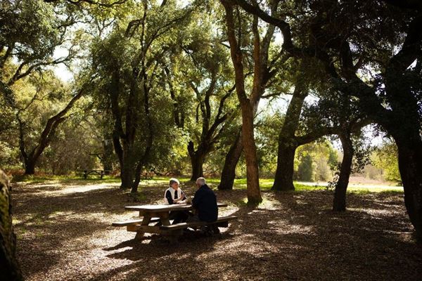 Ragle Ranch Regional Park (10/29/2024 - Credits: Sonoma County)