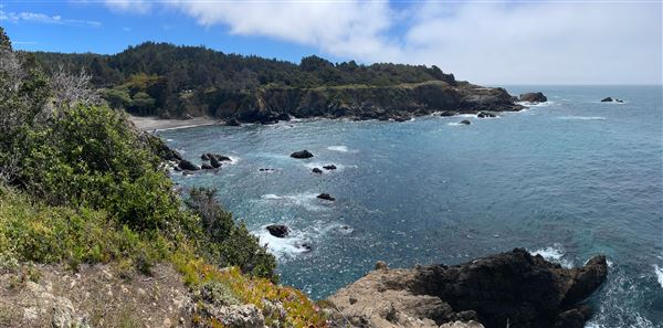 Stillwater Cove Regional Park (10/29/2024 - Credits: Sonoma County)