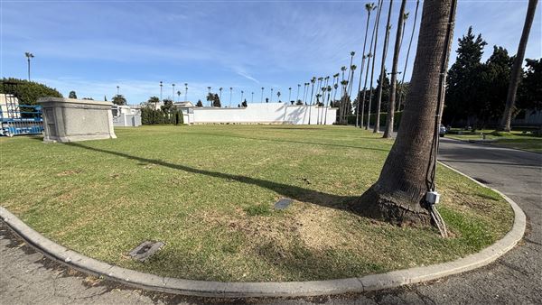 Hollywood Forever Cemetery (11/7/2024 - Credits: Brandy Davis)