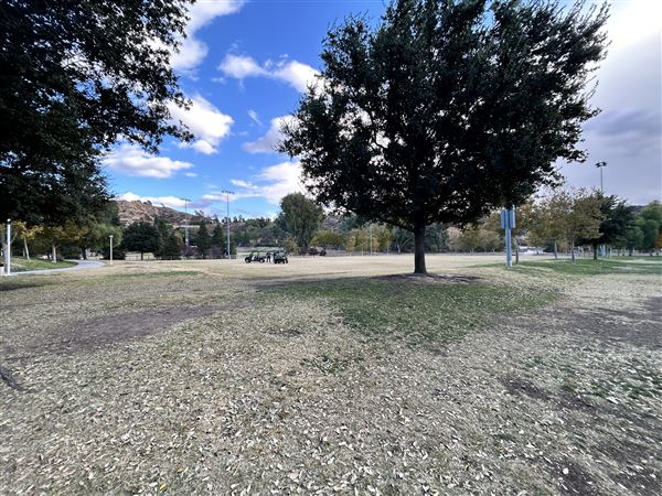 Central Park (11/15/2024 - Credits: Brandy Davis)