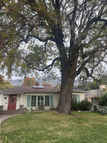Altadena (11/23/2024 - Credits: Anouar Kartite)