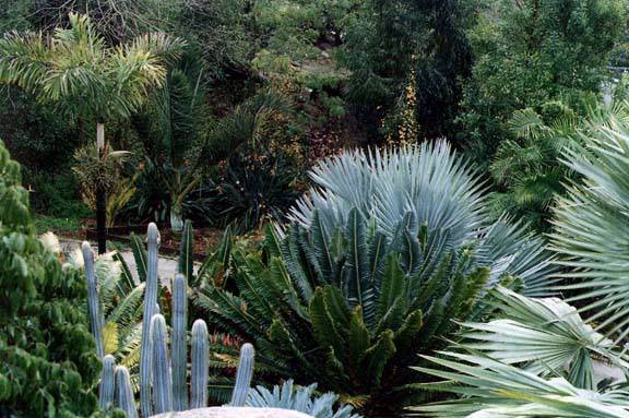 San Diego Botanic Garden (12/31/2003)