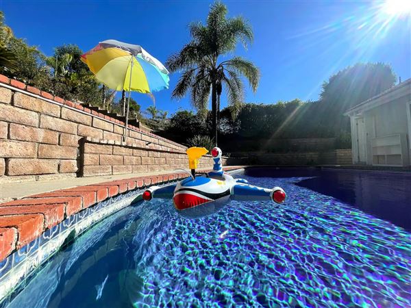 LA Paradise (1/27/2025)