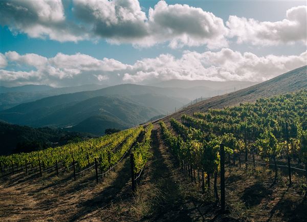 Holman Ranch (10/26/2021 - Credits: Wine Club & Marketing Manager)