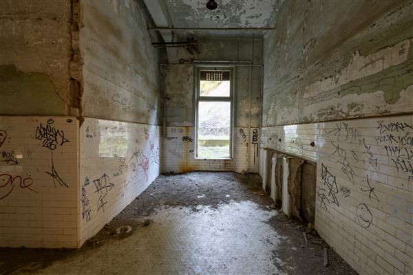 Angel Island State Park (SP) (12/10/2024 - Credits: Brian Baer)