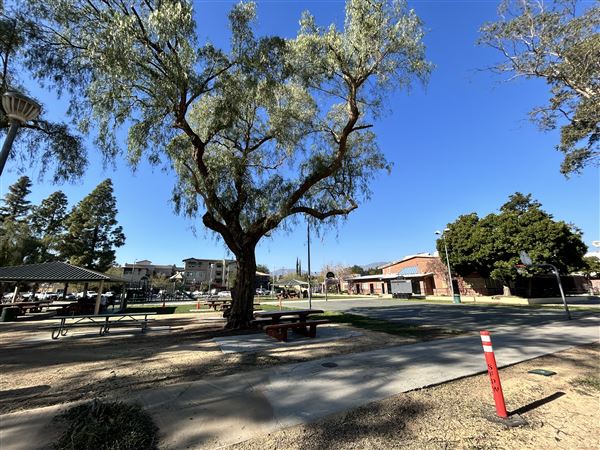 San Fernando Recreation Park (2/24/2025 - Credits: Brandy Davis)