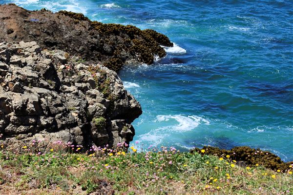 Fort Bragg (2/27/2025)