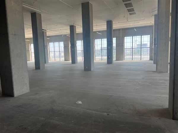 Sears Building (1/10/2025 - Credits: Eric Shomof)