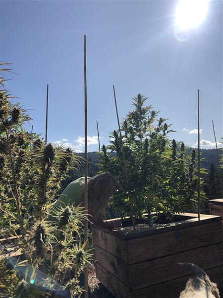 Long Creek Ranch (3/5/2025 - Credits: The Larsen Family)