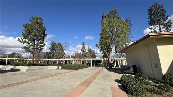 Los Angeles Valley College - LAVC (3/10/2025 - Credits: Walkways)