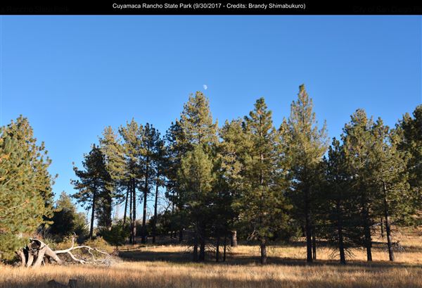 Cuyamaca Rancho State Park (SP), Lake Cuyamaca and Grand Valley Rapids (9/30/2017 - Credits: Brandy Shimabukuro)