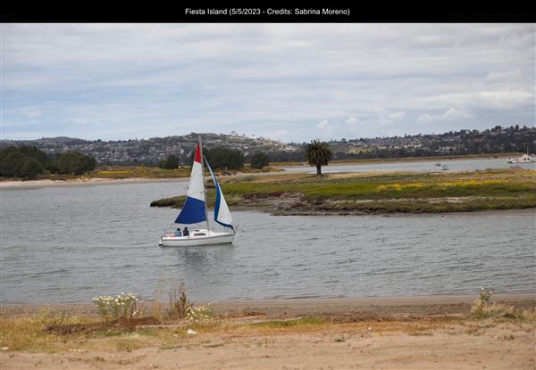 Fiesta Island (5/5/2023 - Credits: Sabrina Moreno)