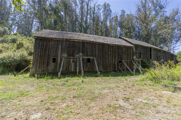 Burleigh H. Murray Ranch Park Property (8/13/2024 - Credits: Brian Baer)