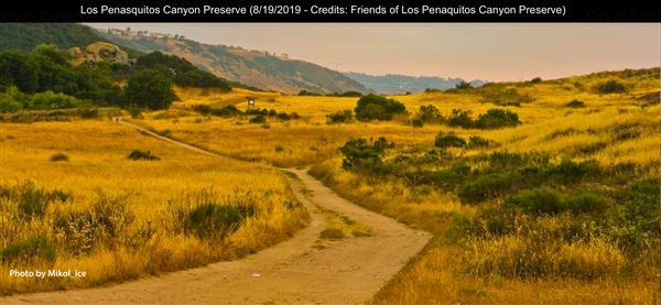 Los Penasquitos Canyon Preserve (8/19/2019 - Credits: Freinds of Los Penasquitos Canyon Preserve)