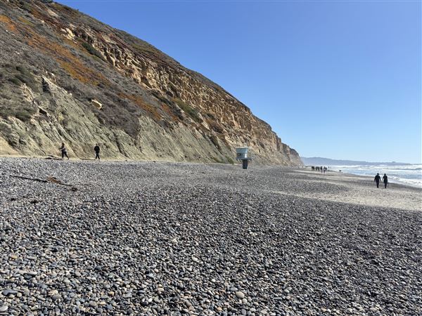 Torrey Pines State Beach (SB) (3/8/2025 - Credits: Brandy Davis)