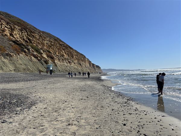 Torrey Pines State Beach (SB) (3/8/2025 - Credits: Brandy Davis)