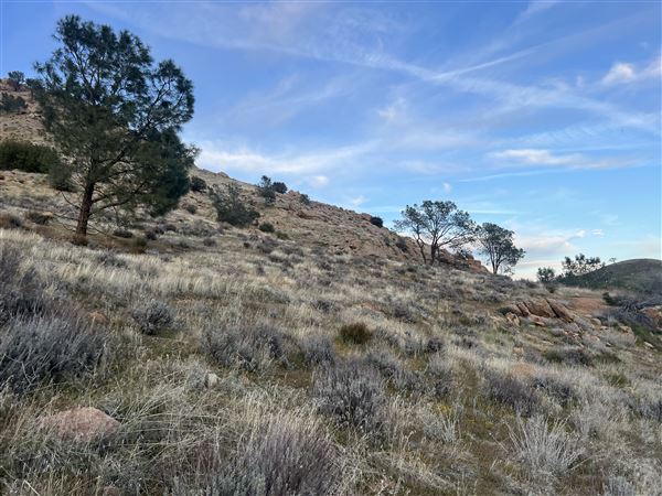 Kern River Valley Desert Mountains & Lake View (3/19/2025 - Credits: Alaska Gieseler)
