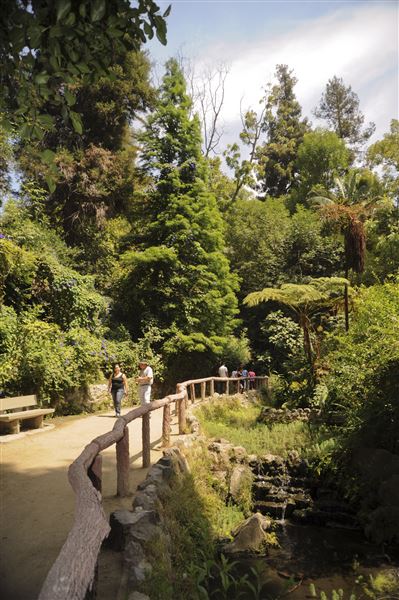 Griffith Park / Fern Dell / Griffith Park Merry-Go-Round (3/28/2025 - Credits: City of Los Angeles Department of Recreation & Parks)