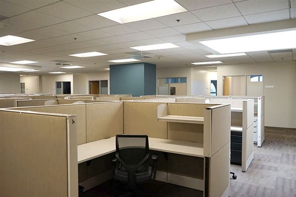 Lemon Labs (12/12/2023 - Credits: David Merabi)
