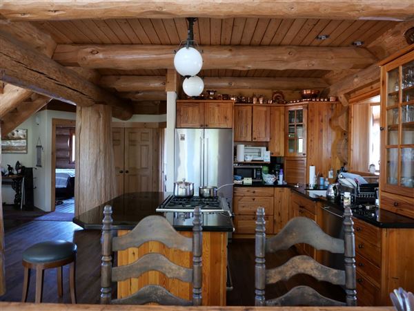 Log Cabin (3/4/2025 - Credits: Dave Mortell)