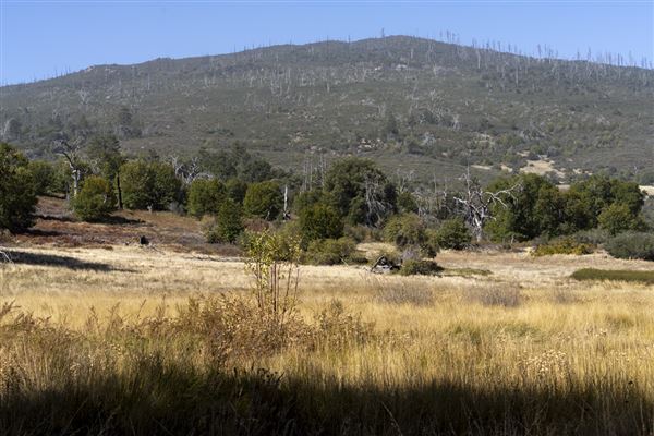 Cuyamaca Rancho State Park (SP), Lake Cuyamaca and Grand Valley Rapids (10/29/2023 - Credits: Brian Baer)