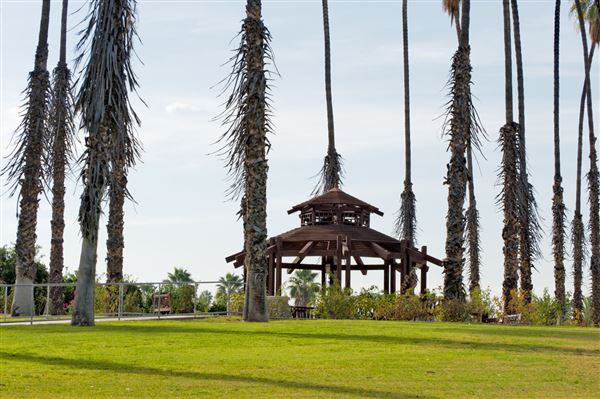 California Citrus State Historic Park (SHP) (1/8/2014 - Credits: Brian Baer)