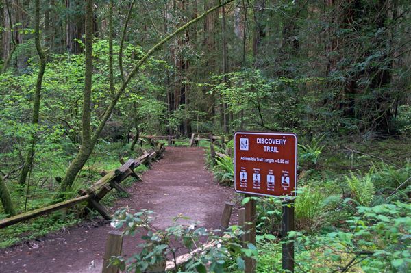 Armstrong Redwoods State Natural Reserve (SNR) (4/17/2025 - Credits: Al Mueller)