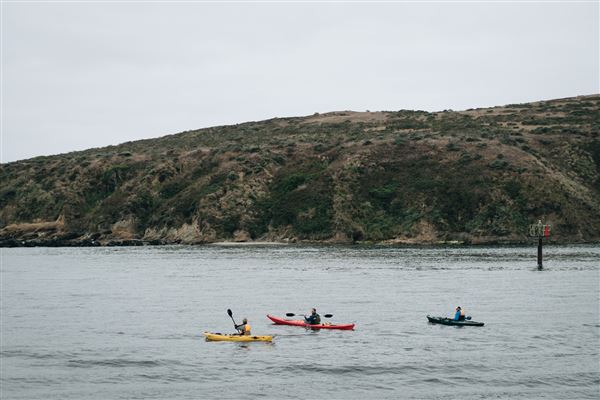 Bodega Bay (4/18/2025 - Credits: Photo Courtesy of Sonoma County)