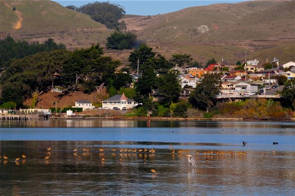 Bodega Bay (4/18/2025 - Credits: Photo Courtesy of Sonoma County)