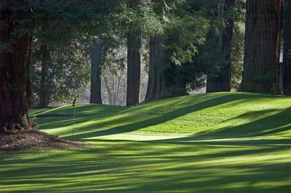 Northwood Golf Club (4/22/2025 - Credits: Photo Courtesy of Sonoma County)