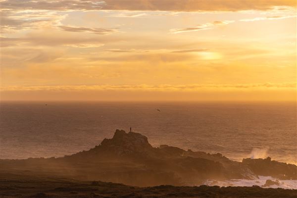 Salt Point State Park (SP) (4/23/2025 - Credits: Spencer Spellman)