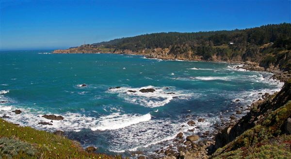 Salt Point State Park (SP) (4/23/2025 - Credits: Al Mueller)
