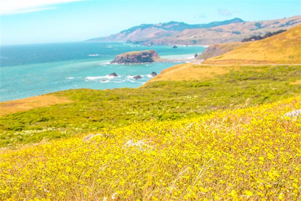 Sonoma Coast State Park (SP) (4/24/2025 - Credits: Spencer Spellman)