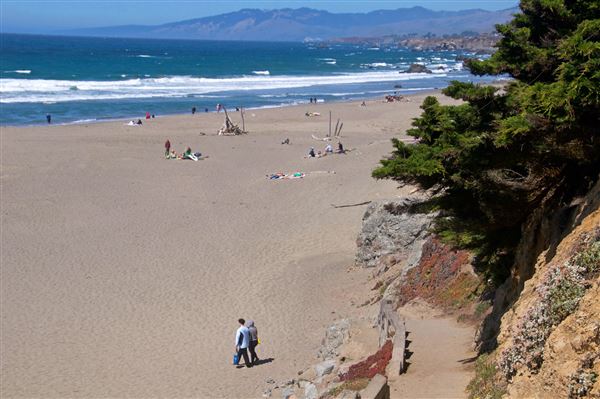Sonoma Coast State Park (SP) - North Salmon Creek Beach - Sonoma Coast State Park (4/24/2025 - Credits: Al Mueller)