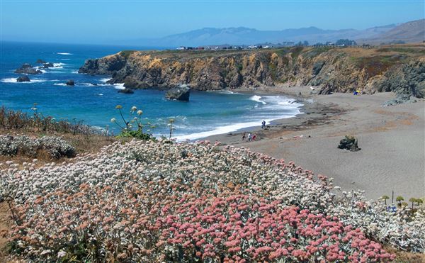 Sonoma Coast State Park (SP) - Schoolhouse Beach - Sonoma Coast State Park (4/24/2025 - Credits: Al Mueller)