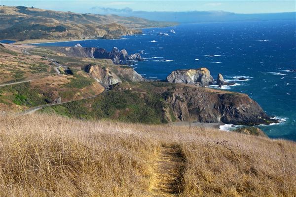 Sonoma Coast State Park (SP) - Vista Point (4/24/2025 - Credits: Al Mueller)