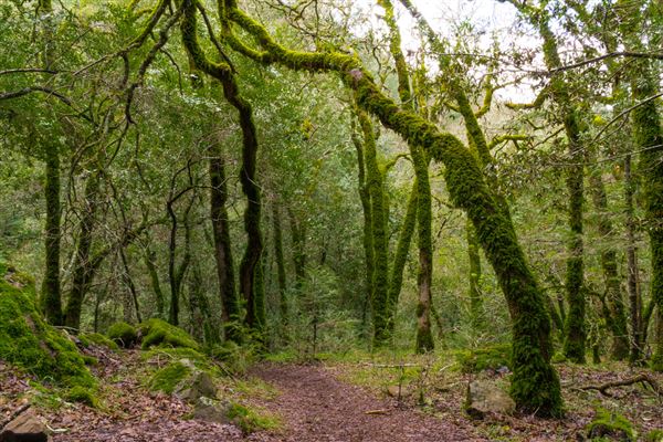 Sugarloaf Ridge State Park (SP) (4/24/2025 - Credits: Photo Courtesy of Sonoma County)