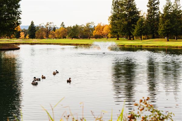 Windsor - Windsor Golf Club (4/25/2025 - Credits: Wildly Simple)