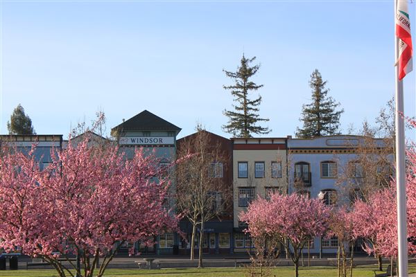 Windsor (4/25/2025 - Credits: Photo Courtesy of Sonoma County)