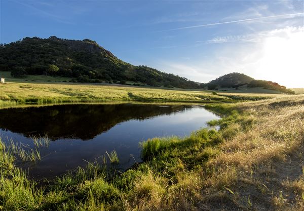 Sutter Buttes State Park (SP) (5/15/2017 - Credits: Brian Baer)