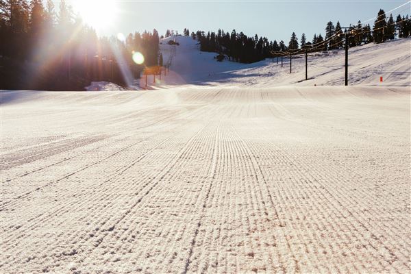 Dodge Ridge Mountain Resort (5/28/2025 - Credits: Dodge Ridge Mountain Resort)