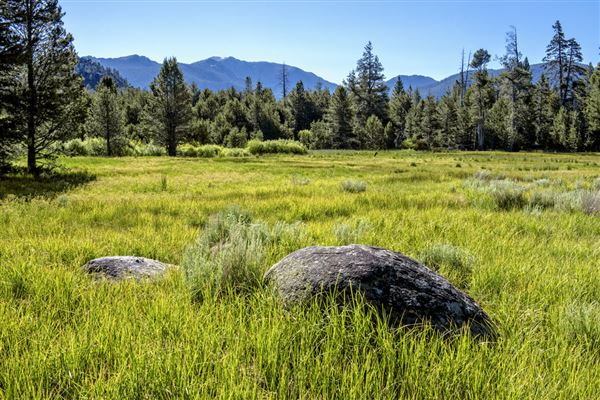 Washoe Meadows State Park (SP) (6/24/2016 - Credits: Brian Baer)