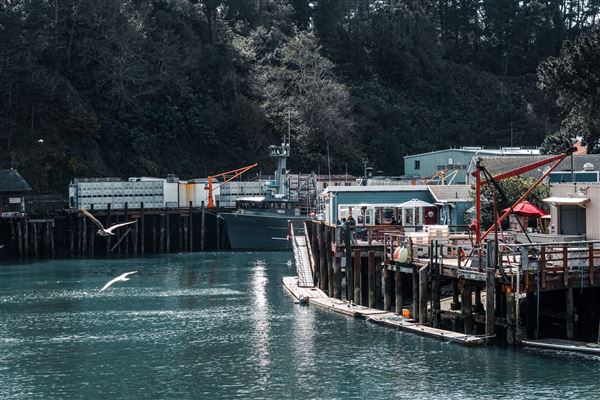 Noyo Harbor District (6/13/2025 - Credits: Photo Courtesy of Noyo Harbor District)