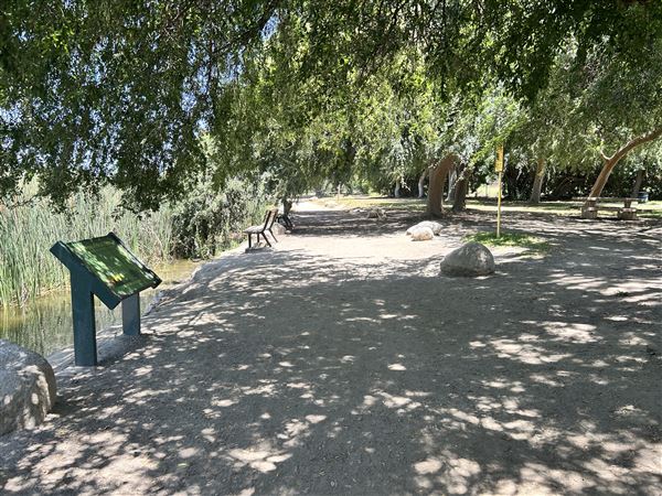 Whittier Narrows Recreation Area / LA County Parks - US Army Corps of Engineers - Legg Lake (6/17/2025 - Credits: Brandy Davis)