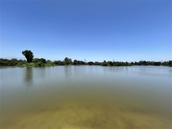 Whittier Narrows Recreation Area / LA County Parks - US Army Corps of Engineers - Legg Lake (6/17/2025 - Credits: Brandy Davis)