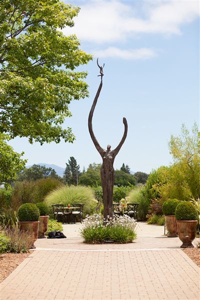 DeLoach Winery (6/30/2025 - Credits: Scott Chebegia)